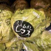 ヒメ日記 2026/01/27 00:28 投稿 体験 じゅり 脱がされたい人妻 宇都宮店