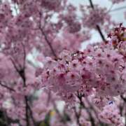 ヒメ日記 2026/01/28 21:45 投稿 体験 じゅり 脱がされたい人妻 宇都宮店