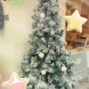 ヒメ日記 2024/12/25 23:45 投稿 凜(りん) 相模原人妻城