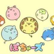 ヒメ日記 2025/03/31 16:27 投稿 凜(りん) 相模原人妻城