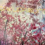 ヒメ日記 2025/04/09 13:48 投稿 凜(りん) 相模原人妻城