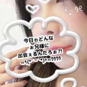 ヒメ日記 2025/05/31 16:12 投稿 凜(りん) 相模原人妻城