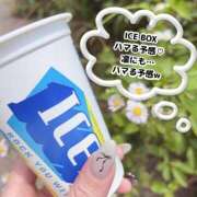 ヒメ日記 2025/06/19 13:57 投稿 凜(りん) 相模原人妻城