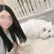 ヒメ日記 2025/06/18 10:50 投稿 髙松瞳 多恋人倶楽部