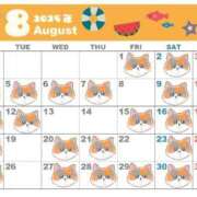 ヒメ日記 2025/07/26 12:29 投稿 髙松瞳 多恋人倶楽部