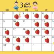 ヒメ日記 2026/02/24 12:22 投稿 髙松瞳 多恋人倶楽部