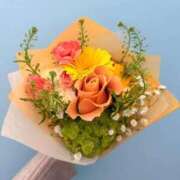 ヒメ日記 2025/11/25 20:48 投稿 ののか 京都BOOK MARK（ブックマーク）