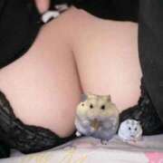 ののか おはようございます☀️｡° 京都BOOK MARK（ブックマーク）