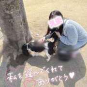 ヒメ日記 2025/03/29 17:06 投稿 えま マリン宇都宮店