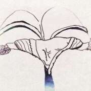 ヒメ日記 2025/07/25 14:46 投稿 まる 土浦ビデオdeはんど