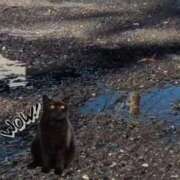 ヒメ日記 2025/10/17 10:46 投稿 まる 土浦ビデオdeはんど