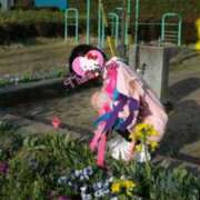 ヒメ日記 2025/10/19 11:16 投稿 まる 土浦ビデオdeはんど