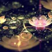 ヒメ日記 2025/03/28 10:55 投稿 芦名柚希(あしなゆづき) 九州熟女　八代店