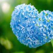 ヒメ日記 2025/06/09 13:41 投稿 芦名柚希(あしなゆづき) 九州熟女　八代店