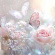 ヒメ日記 2025/12/15 08:45 投稿 芦名柚希(あしなゆづき) 九州熟女　八代店