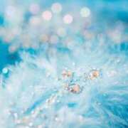 ヒメ日記 2025/12/16 15:05 投稿 芦名柚希(あしなゆづき) 九州熟女　八代店