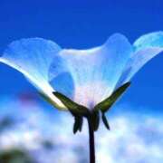 ヒメ日記 2025/12/23 12:05 投稿 芦名柚希(あしなゆづき) 九州熟女　八代店