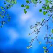 ヒメ日記 2025/12/27 11:05 投稿 芦名柚希(あしなゆづき) 九州熟女　八代店