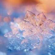 ヒメ日記 2026/01/28 12:55 投稿 芦名柚希(あしなゆづき) 九州熟女　八代店