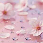 ヒメ日記 2026/04/06 11:45 投稿 芦名柚希(あしなゆづき) 九州熟女　八代店