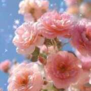 ヒメ日記 2026/04/14 12:45 投稿 芦名柚希(あしなゆづき) 九州熟女　八代店