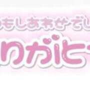 ヒメ日記 2025/03/31 22:03 投稿 ことり 池袋マリン本店