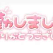 ヒメ日記 2025/04/20 22:25 投稿 ことり 池袋マリン本店