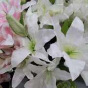 百合 連休中ありがとう💌 モアグループ所沢人妻城