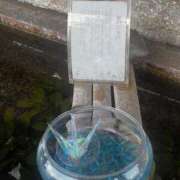 ヒメ日記 2026/01/22 16:44 投稿 なつみ マダム可憐