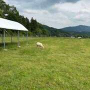 ヒメ日記 2025/05/16 20:23 投稿 しおり若奥 未熟な若奥