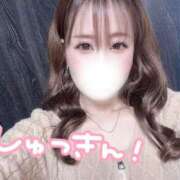 ヒメ日記 2025/02/28 18:23 投稿 りお若奥 未熟な若奥