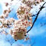 ヒメ日記 2025/04/03 18:23 投稿 りお若奥 未熟な若奥