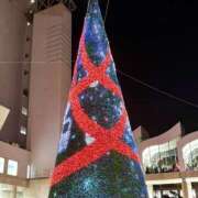 ヒメ日記 2025/12/20 19:23 投稿 りお若奥 未熟な若奥