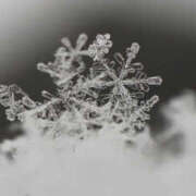 ヒメ日記 2026/02/09 18:43 投稿 りお若奥 未熟な若奥