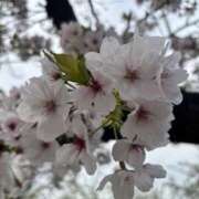 りお若奥 出勤🌸 未熟な若奥