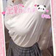 ヒメ日記 2025/03/29 12:20 投稿 まりん（びしょ濡れドM娘） 学園天国