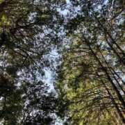 ヒメ日記 2026/03/05 01:00 投稿 りっか 【オナクラ】HAND MAID（ハンドメイド） 梅田店