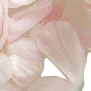 ヒメ日記 2025/05/12 15:16 投稿 レン マテリアル