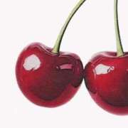 ヒメ日記 2025/06/21 14:16 投稿 レン マテリアル