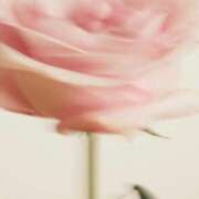 ヒメ日記 2025/06/22 12:31 投稿 レン マテリアル