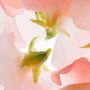 ヒメ日記 2025/06/25 15:46 投稿 レン マテリアル