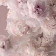 ヒメ日記 2025/07/01 12:01 投稿 レン マテリアル