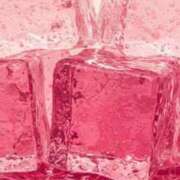 ヒメ日記 2025/08/08 11:46 投稿 レン マテリアル