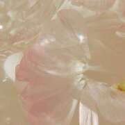 レン お知らせ マテリアル