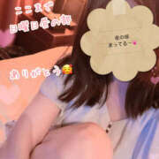 ヒメ日記 2025/07/27 18:09 投稿 まゆ 人妻の秘密船橋店