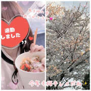 ヒメ日記 2026/04/05 00:21 投稿 まゆ 人妻の秘密船橋店