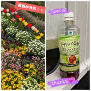 ヒメ日記 2026/04/12 23:41 投稿 まゆ 人妻の秘密船橋店