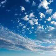 ヒメ日記 2025/01/12 13:04 投稿 としみ 待ちナビ