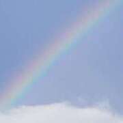 ヒメ日記 2025/07/11 21:39 投稿 としみ 待ちナビ