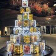 ヒメ日記 2024/12/20 11:19 投稿 姫路ゆず 一夜妻